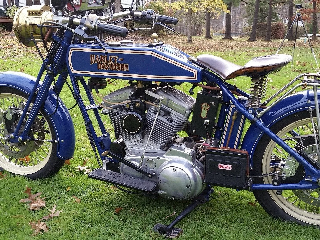 Harley.4.jpg