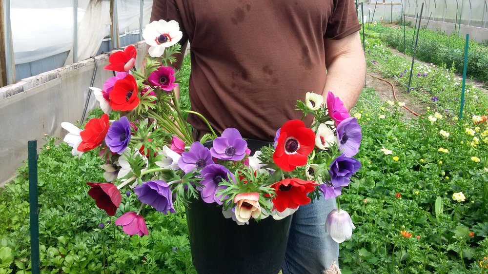 Find Us — Pheasant Run Farm