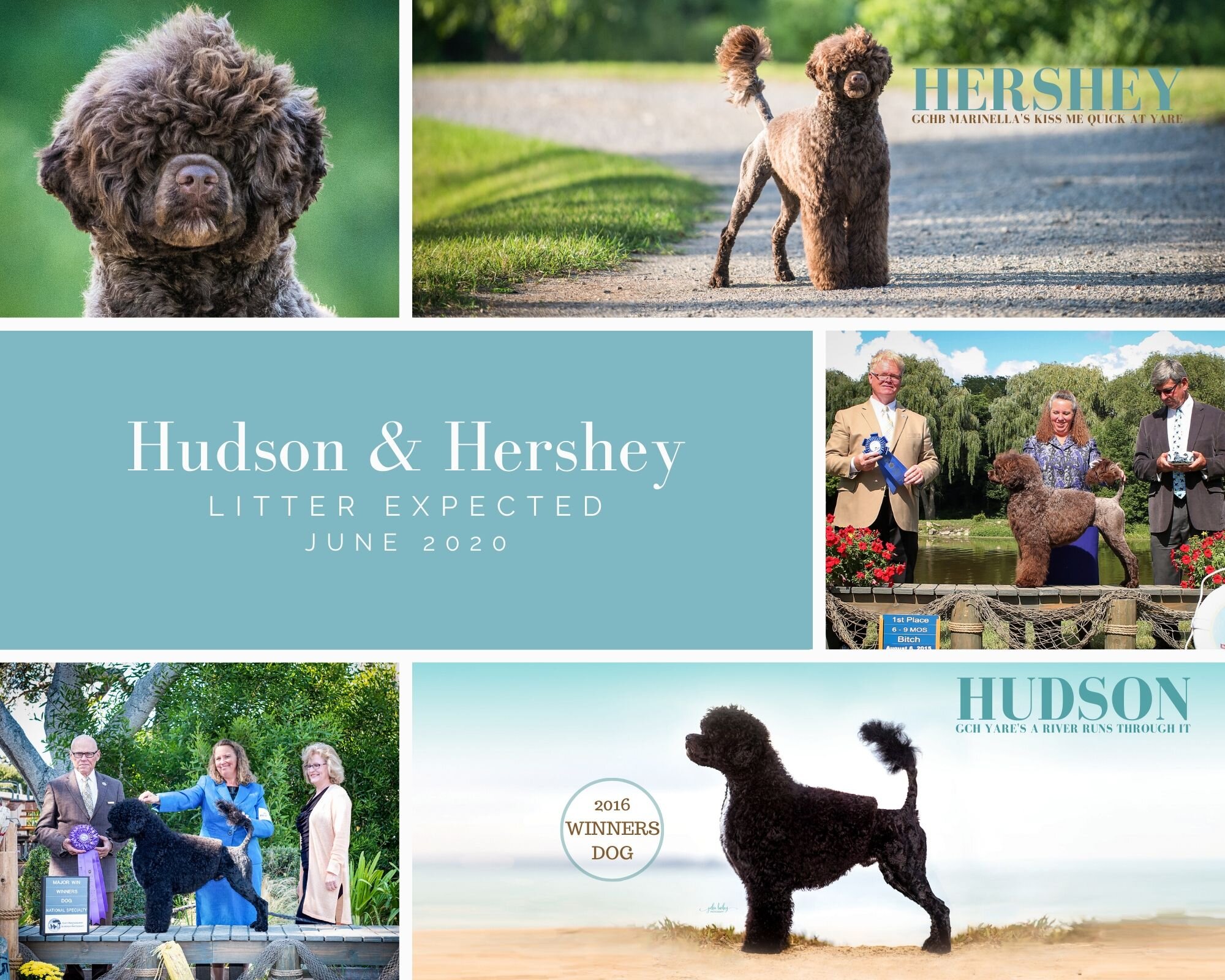 hudson-hershey-flyer01.jpg