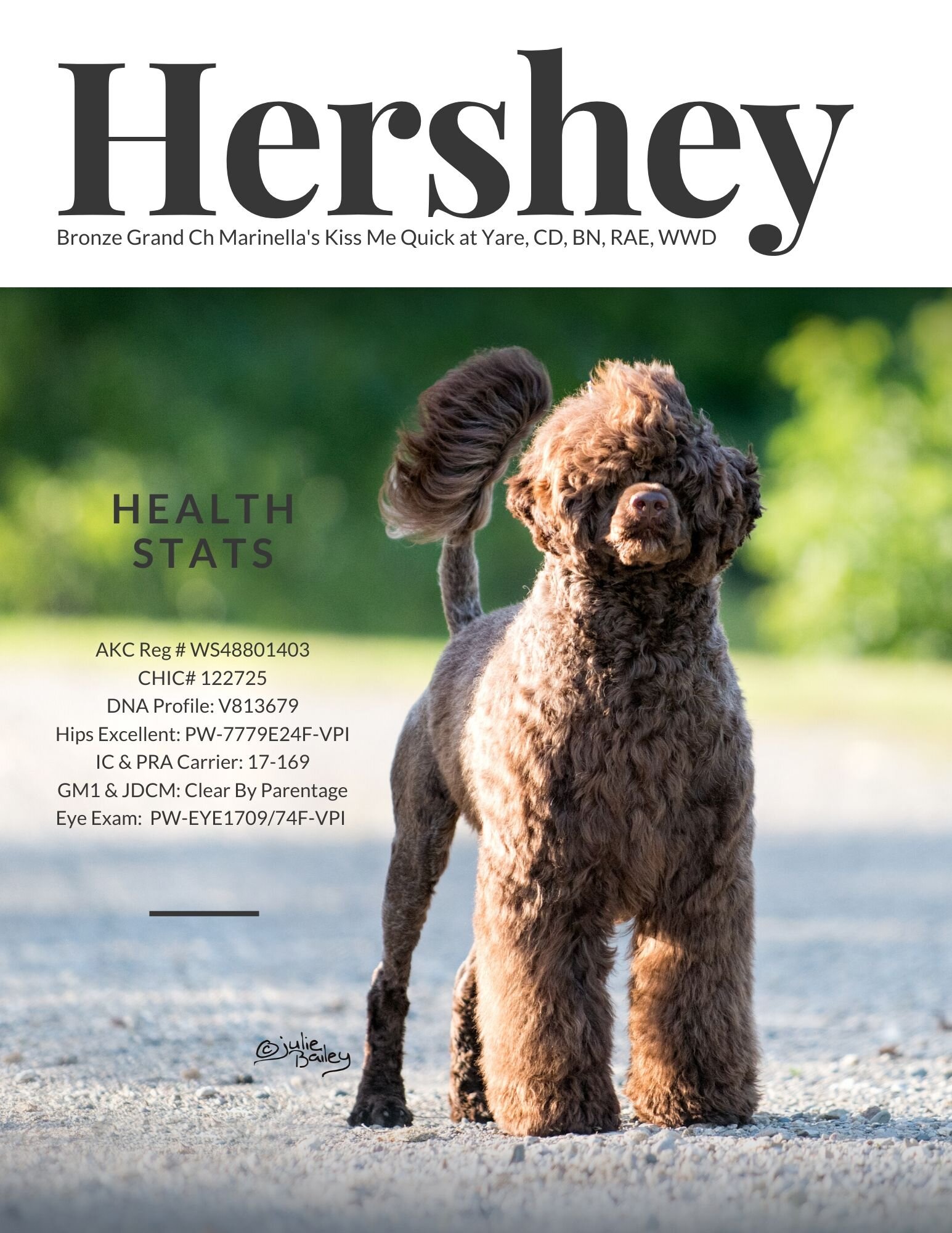Hershey-Health-Stats-Small.jpg