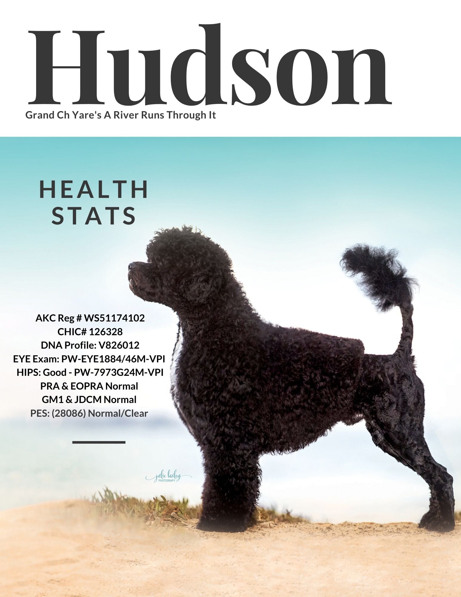 Hudson-Health-Stats-2020-Small.jpg