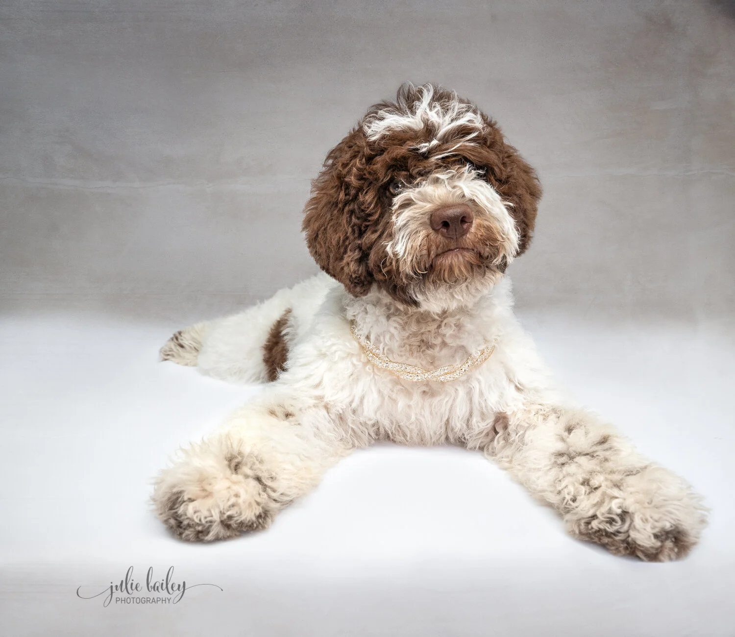 Paloma_4 months_04505-Edit01-2.jpg