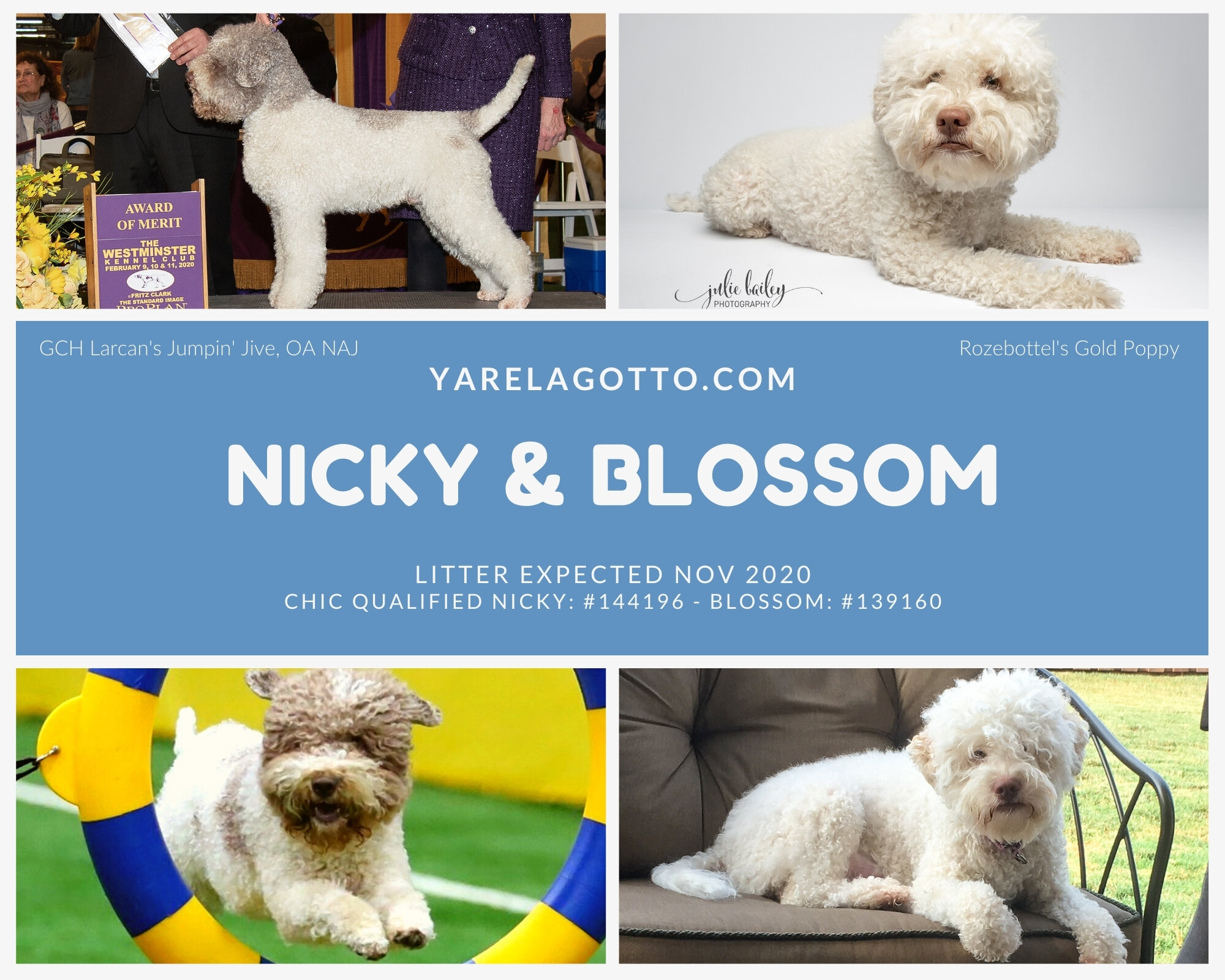 Nicky x Blossom Photo Collage 2.jpg