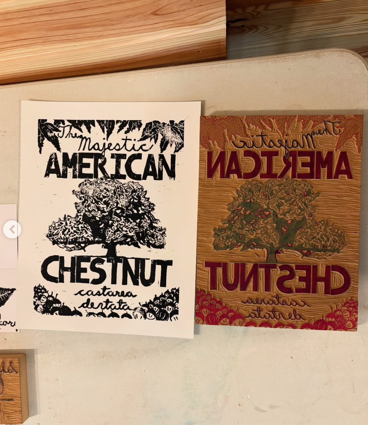 MMeredithLinoPrint.png