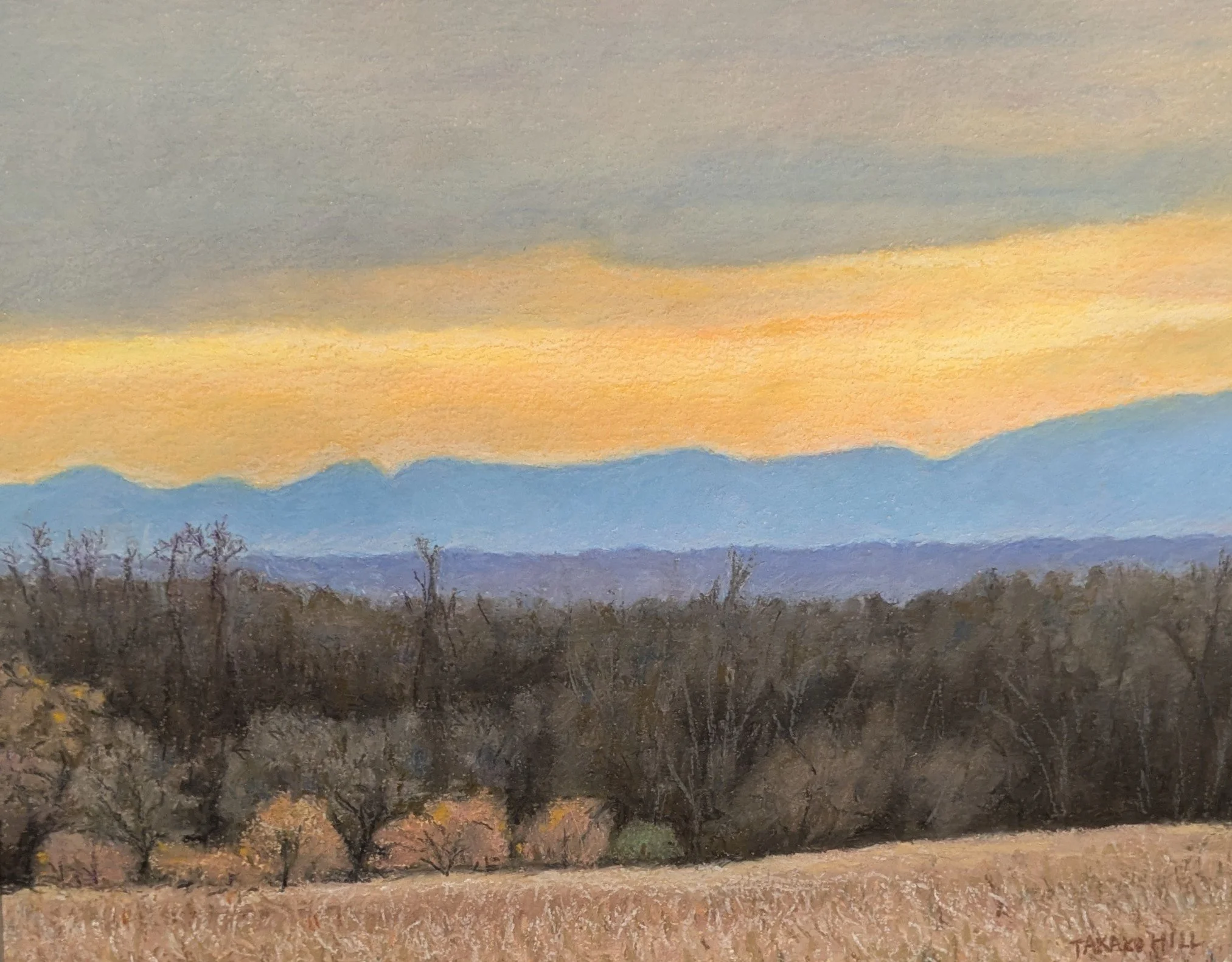 Takako Hill - The View from the Culpeper.jpg