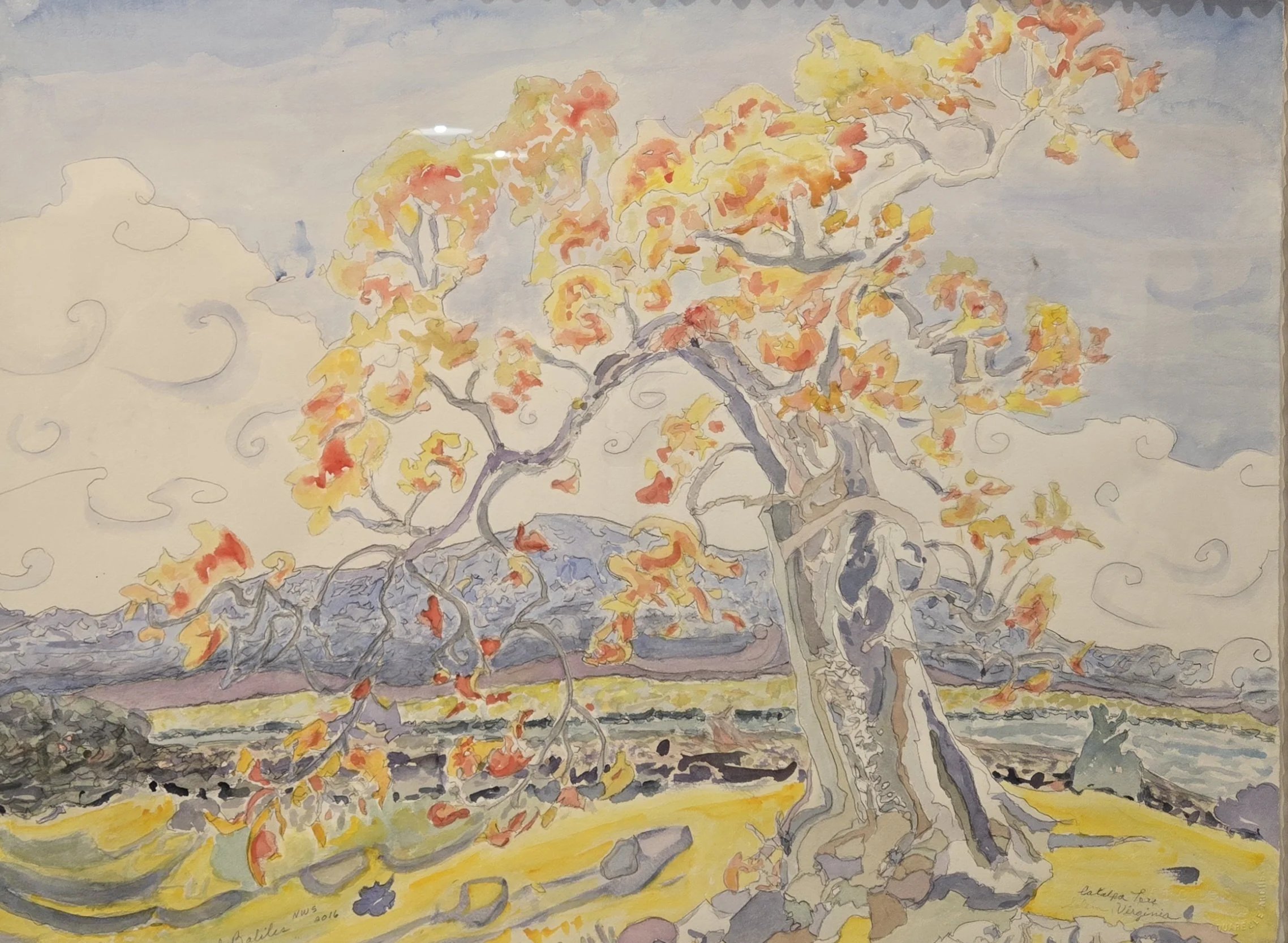 20260205_142401 (1).jpg