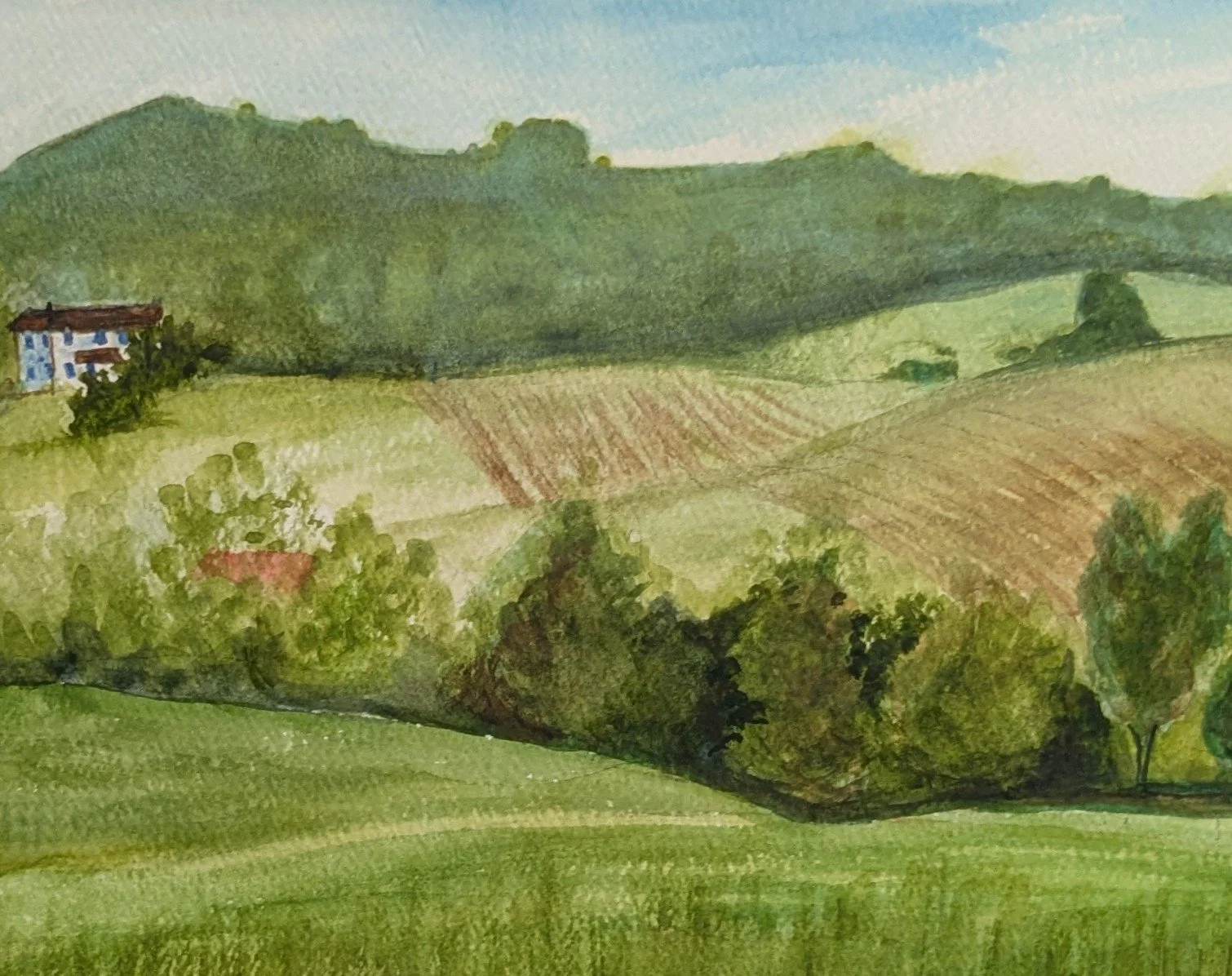 Barbara Bigler - View from Blue Quartz.jpg