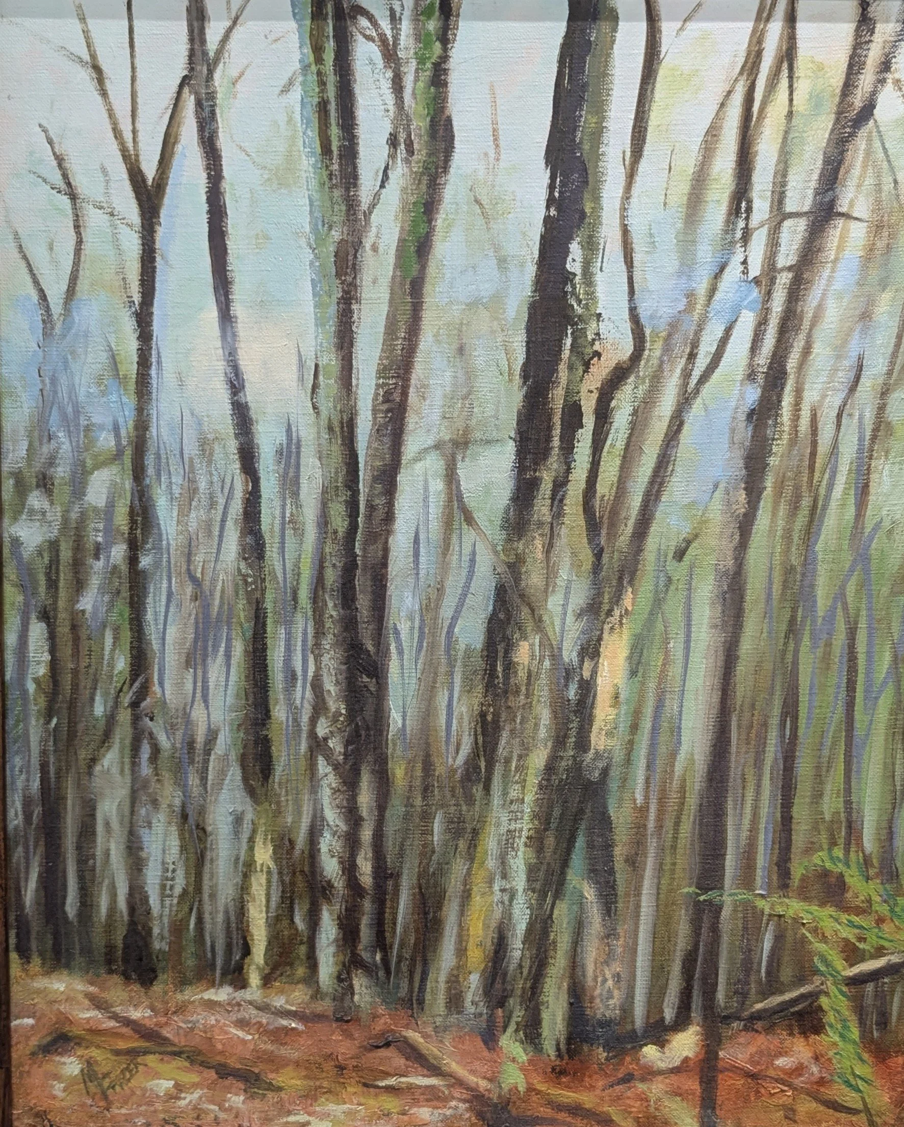 M. Frazer - Woodland Light.jpg