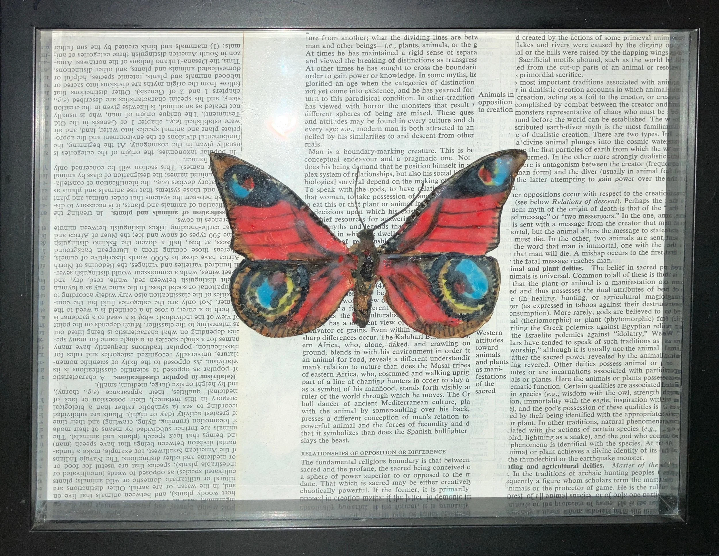 Butterfly red.jpg