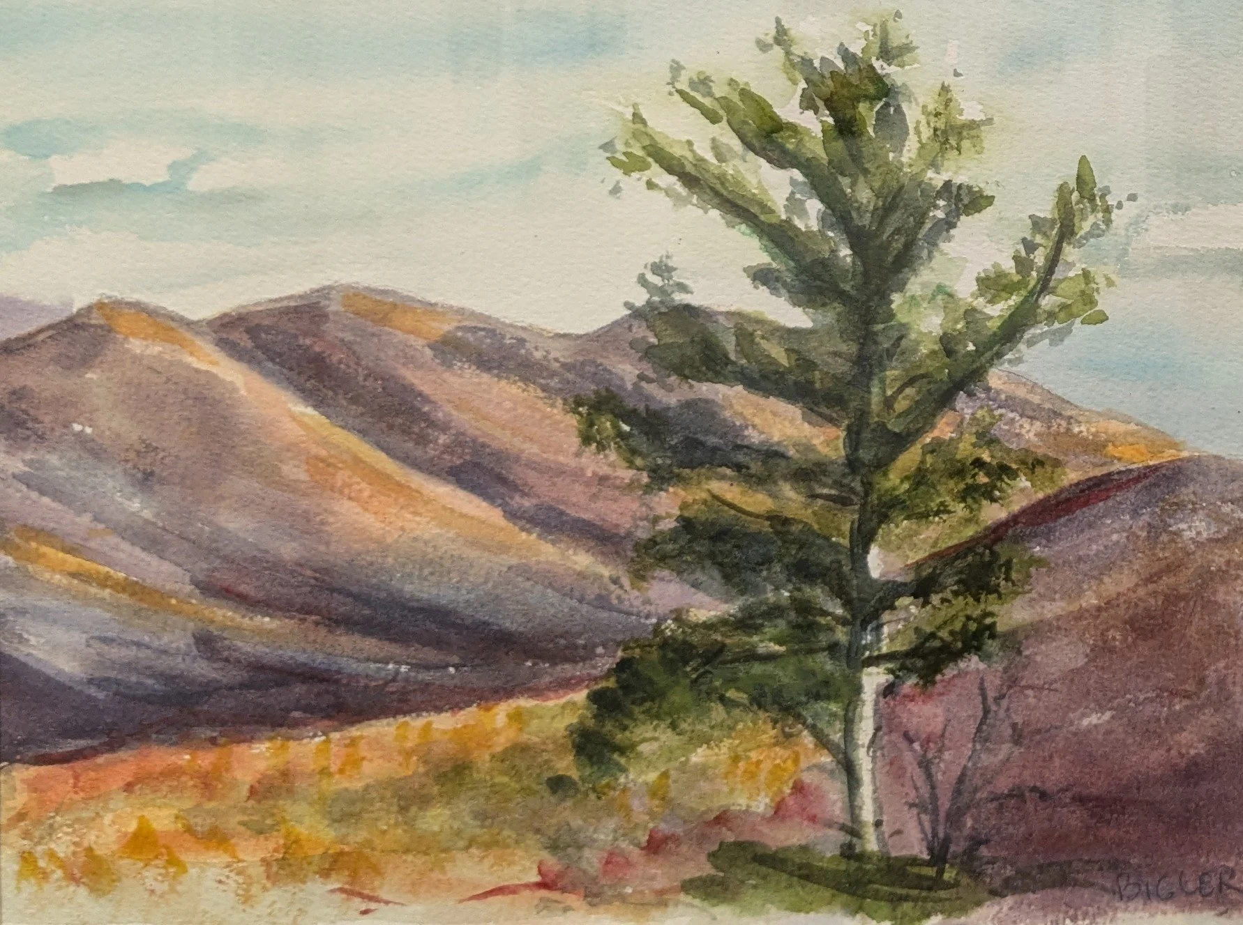 Barbara Bigler - Lonesome pine.jpg
