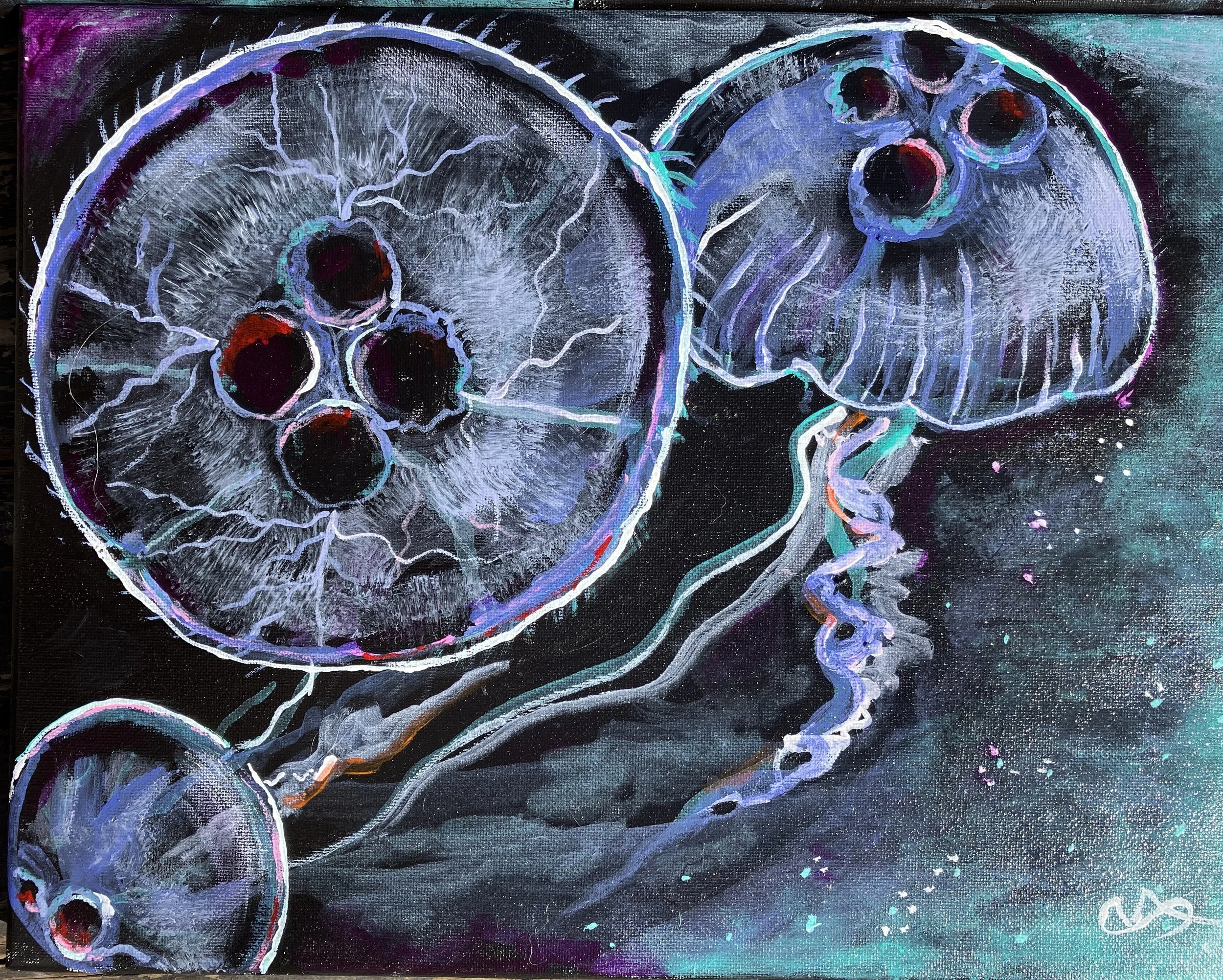 Jellyfish 2.jpeg