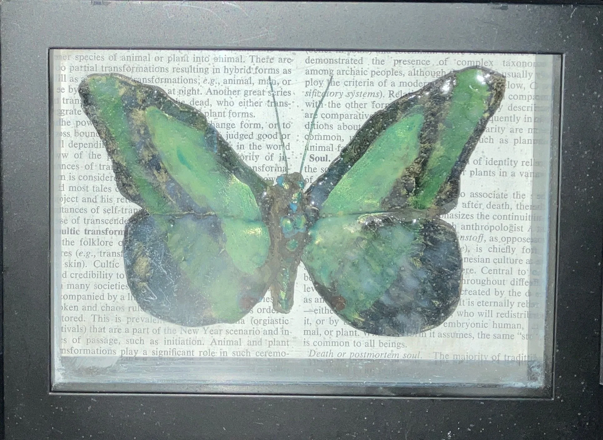 Butterfly Green.jpg