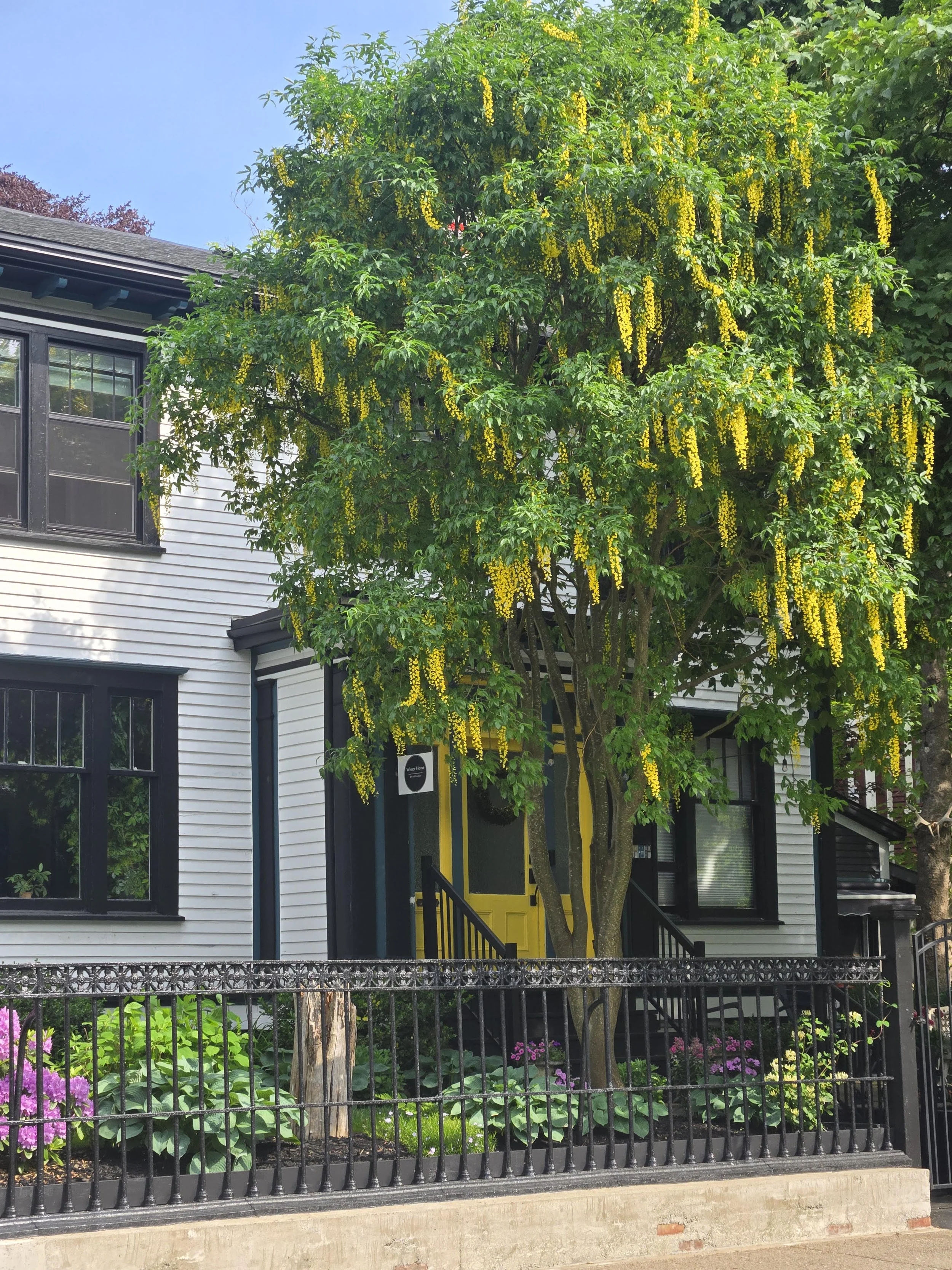 Winsor House Bed and Breakfast Spring 2026.jpg