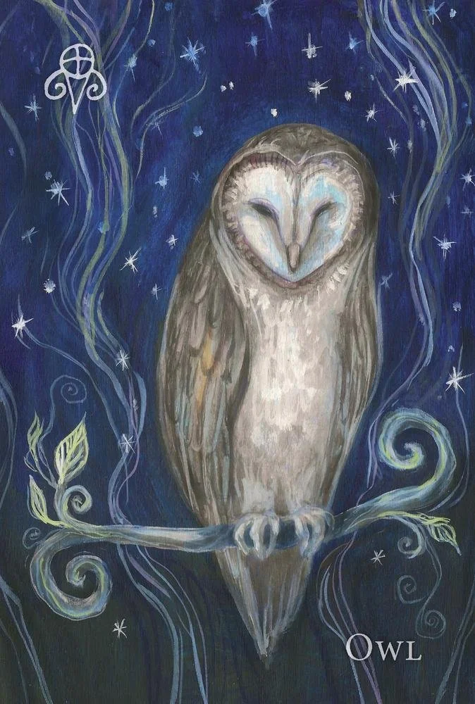 Illustrated oracle card depicting a barn owl perched on a branch against a deep blue starry sky with swirling vines.