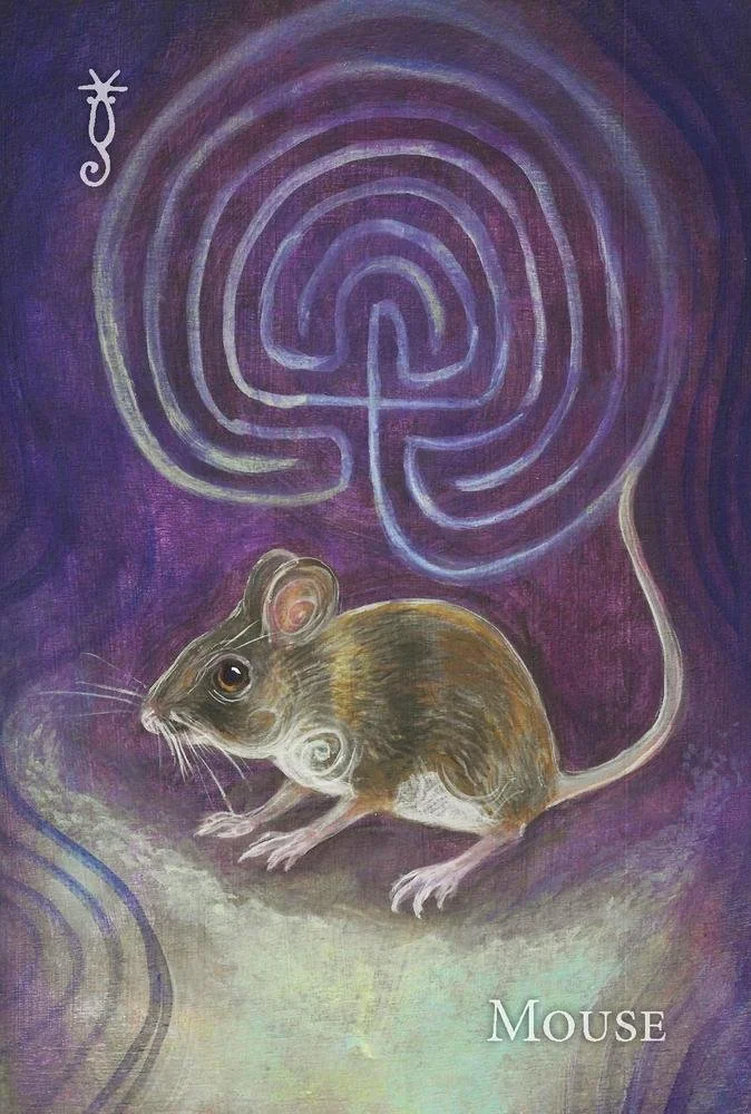 Illustrated oracle card featuring a mouse in profile on a purple background with a labyrinth design.