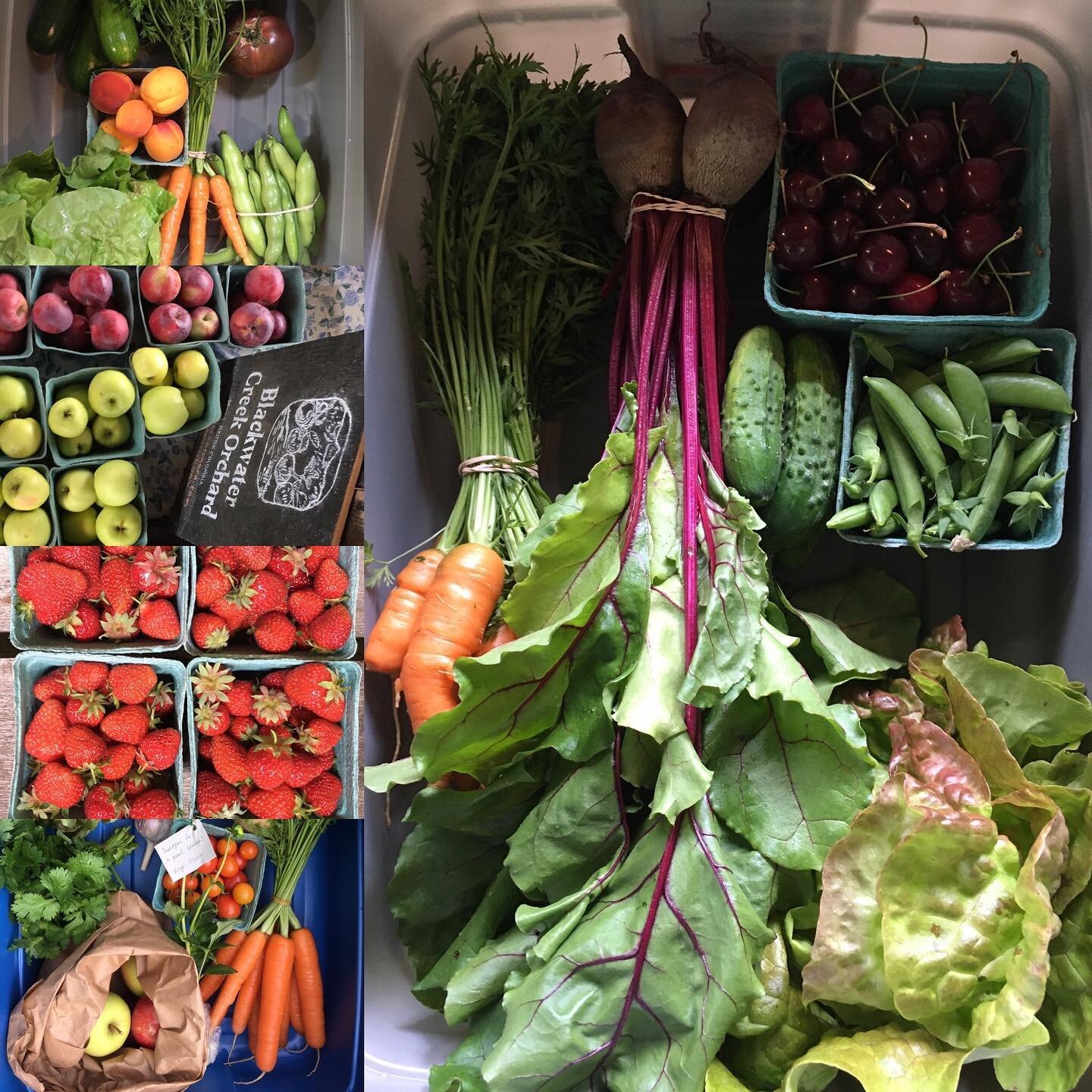 Our first CSA harvest box delivery is less than 2 months away and we still have a few spots left to fill.
&bull;
Sign up now to receive 17 weeks of fresh, local, and certified organic fruits and vegetables from July-October. All produce is grown at o