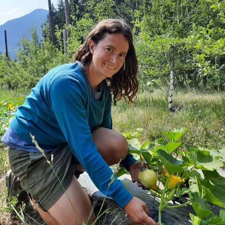 We checked in our our winter squash patch and it&rsquo;s looking great! We&rsquo;re experimenting with interplanting between our apple tree rows and our hope is that the squash will help keep the weeds down.
&bull;
Pictured here is a future kuri squa