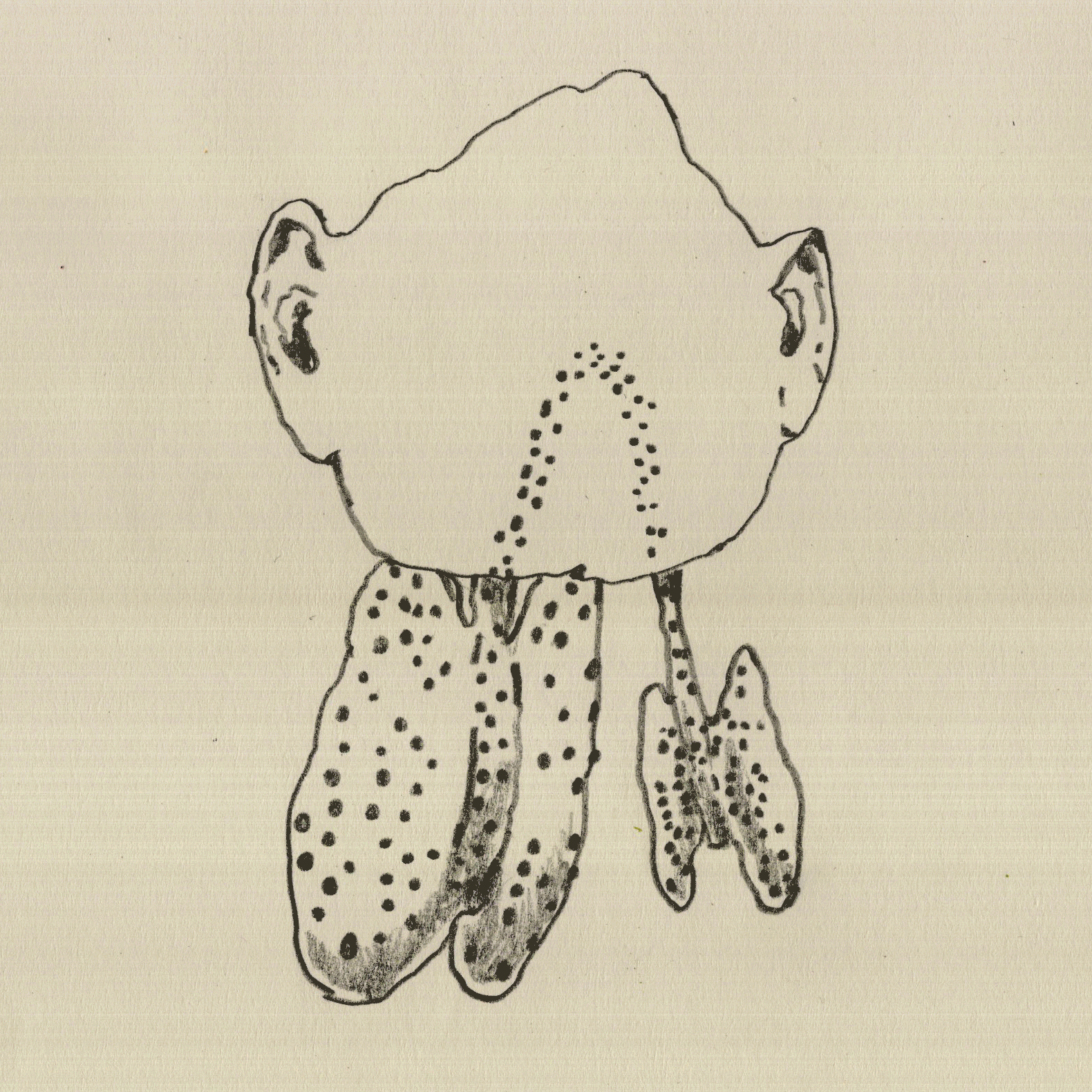 airnocolor.gif