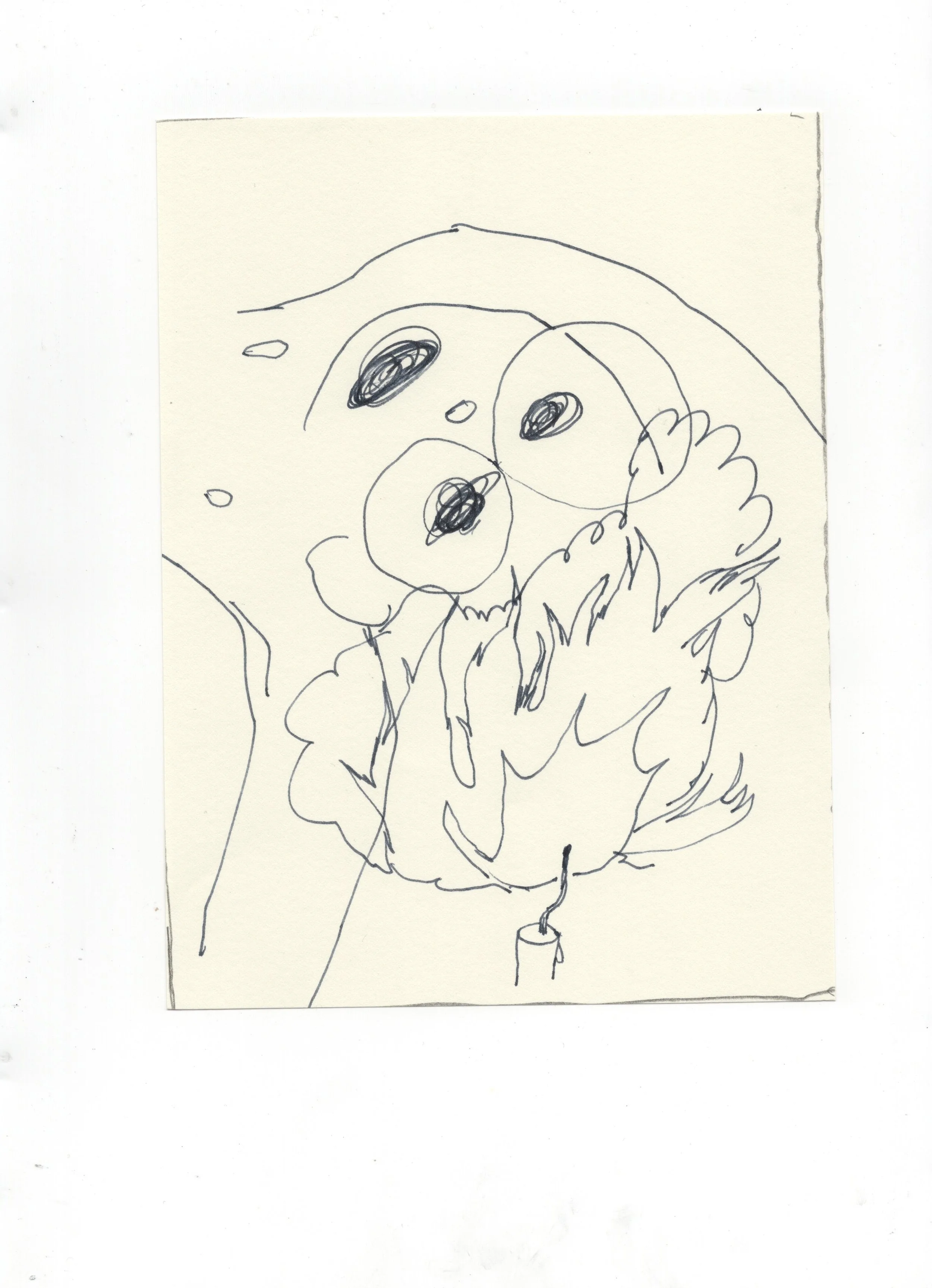 flea049.jpg