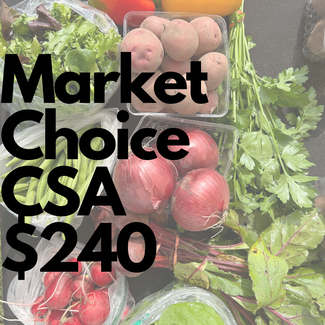 Gallery 1 — Z&N Farm