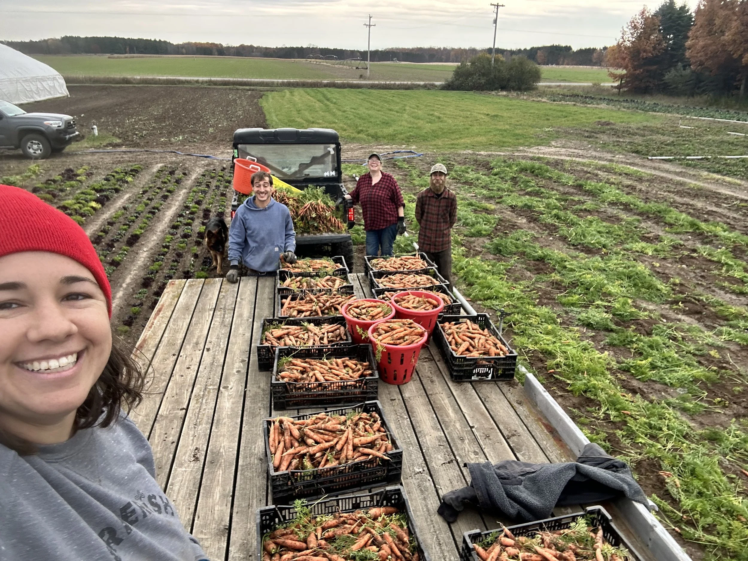 The farm crew at Z&N Farm standing with crates of carrots