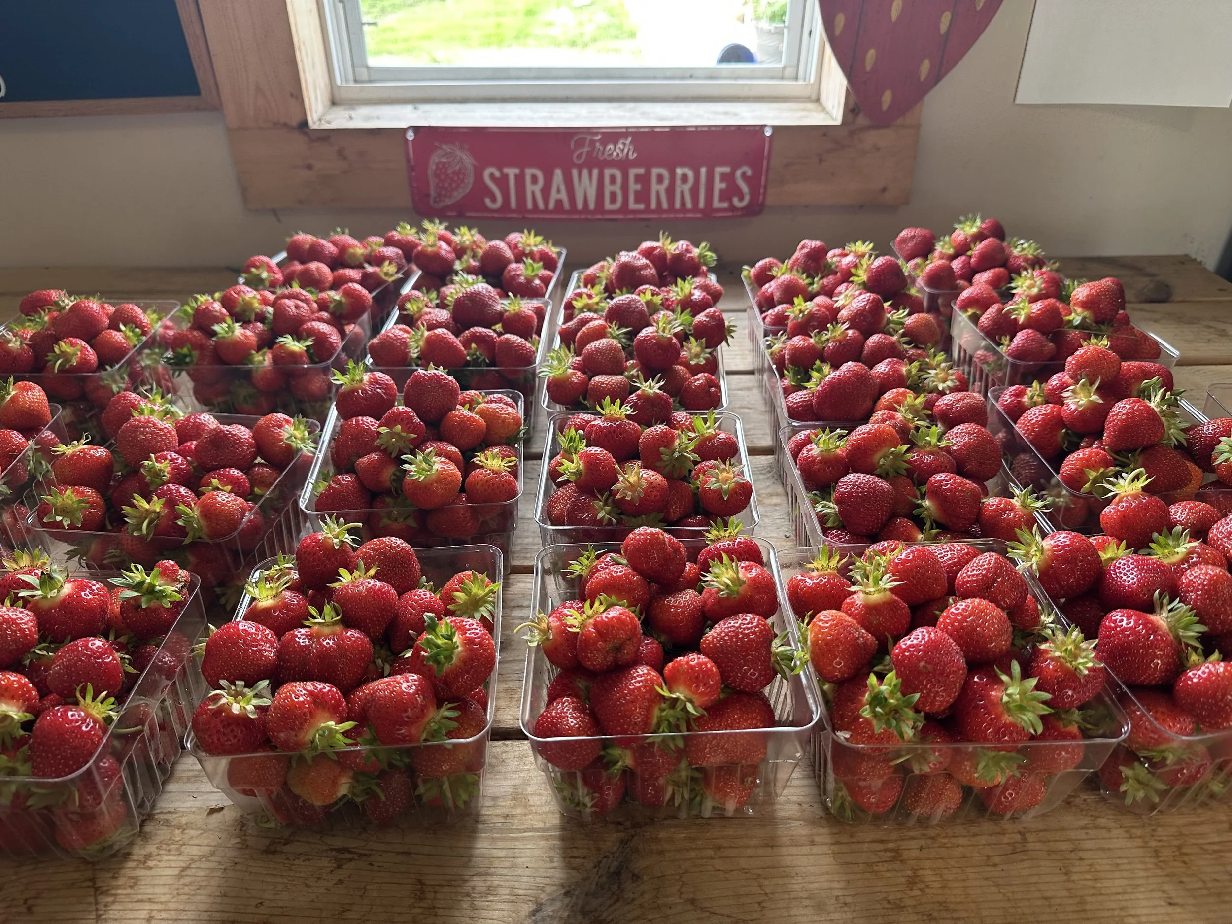 Plastic quarts of strawberries on a wooden table