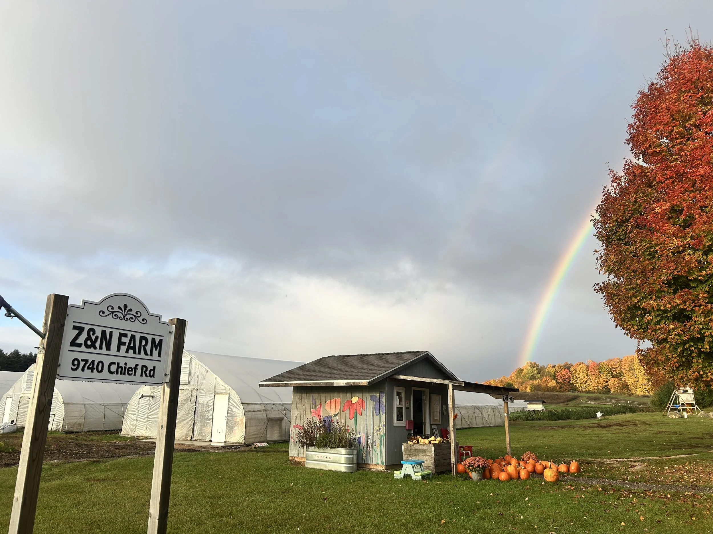 Z&N Farm Stand in a grassy area with a gray-blue sky with a rainbow in the background