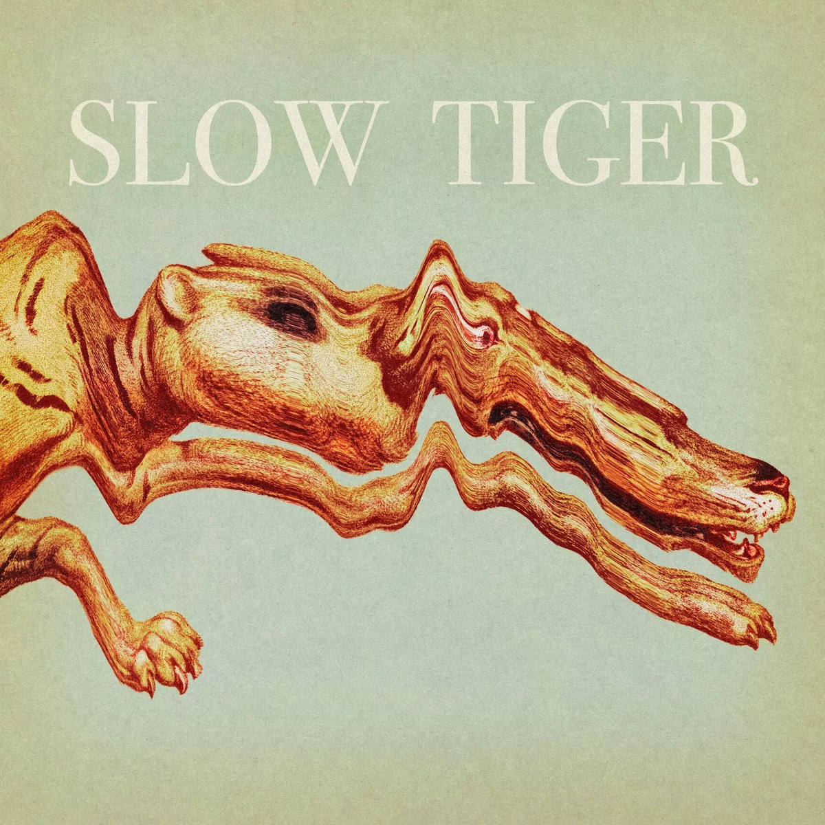 Slow tiger album cover.jpg