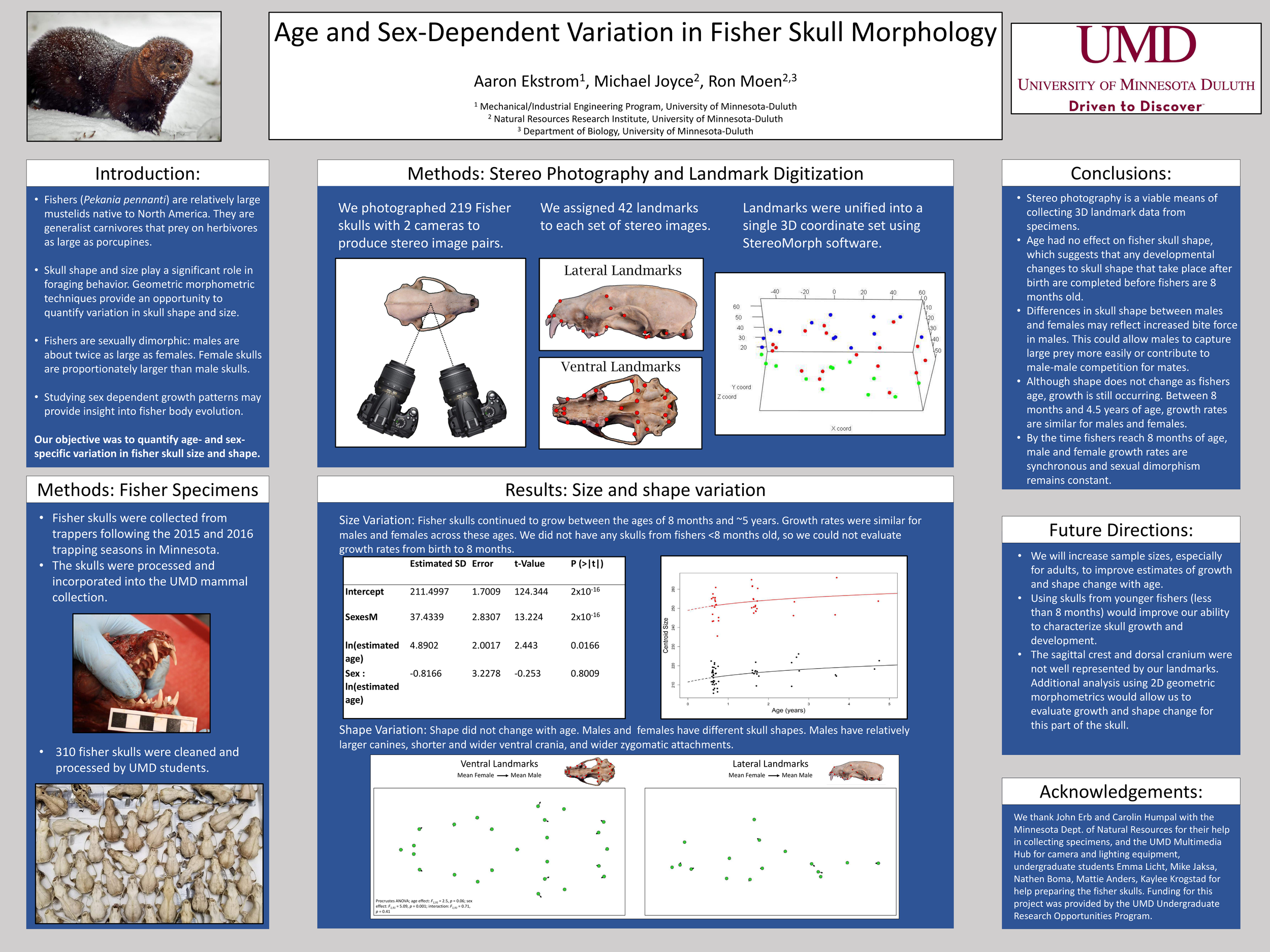 University - Undergrad Research 3D image analysis