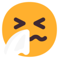 Exploring 12 Months of Sneezing Data