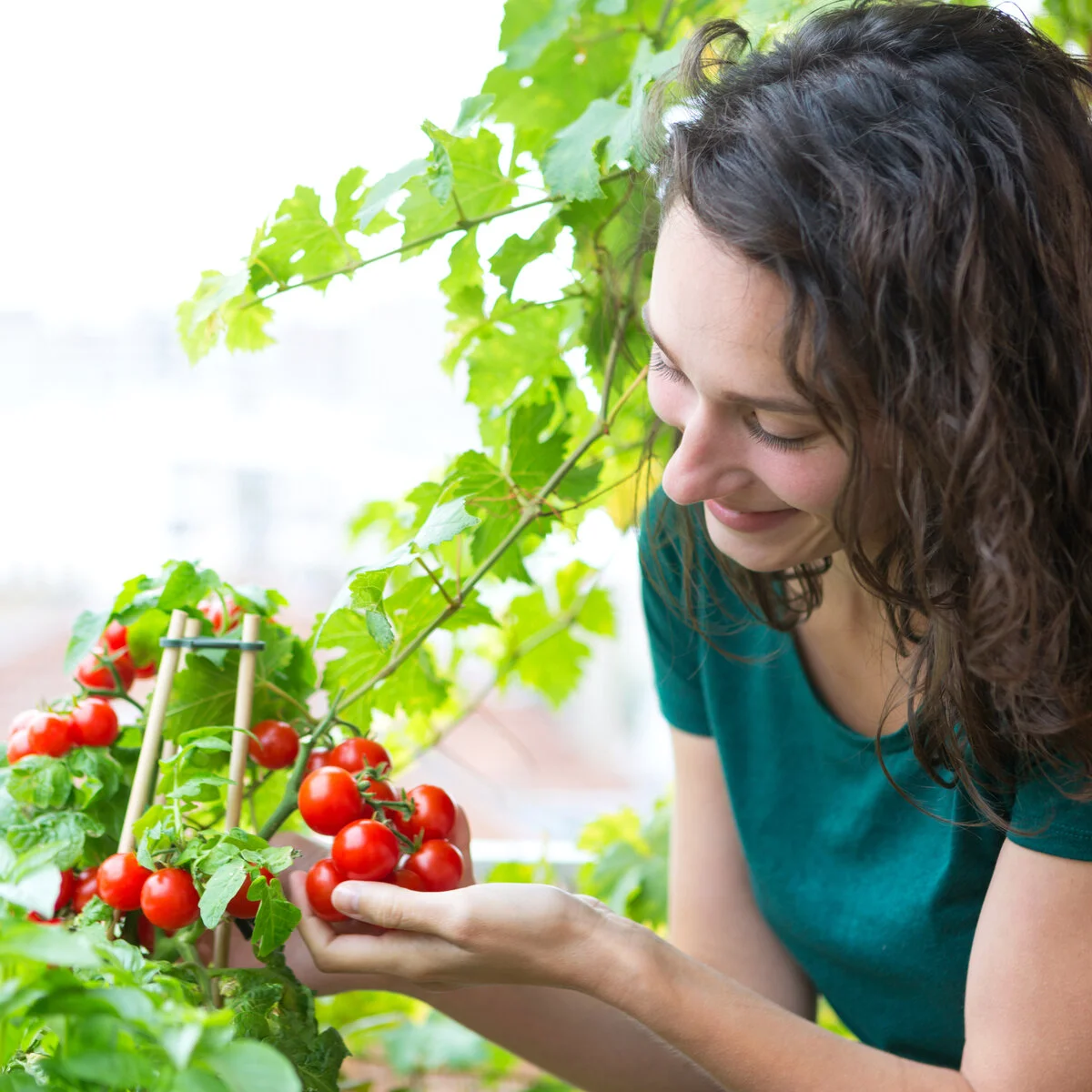15 Ways to Start an Urban Garden