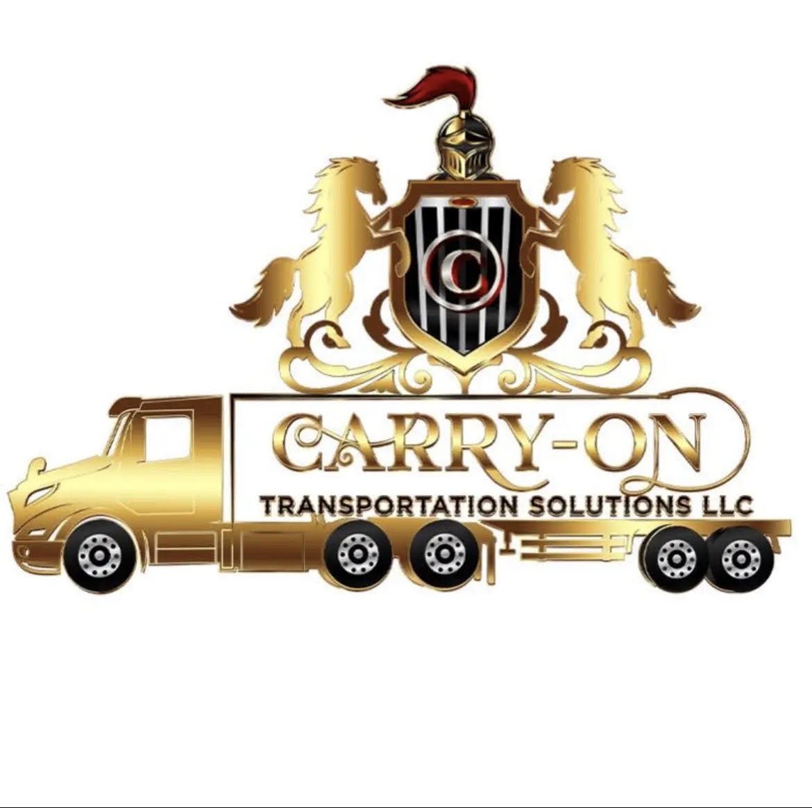 Carry on transportation solutions llc.jpg