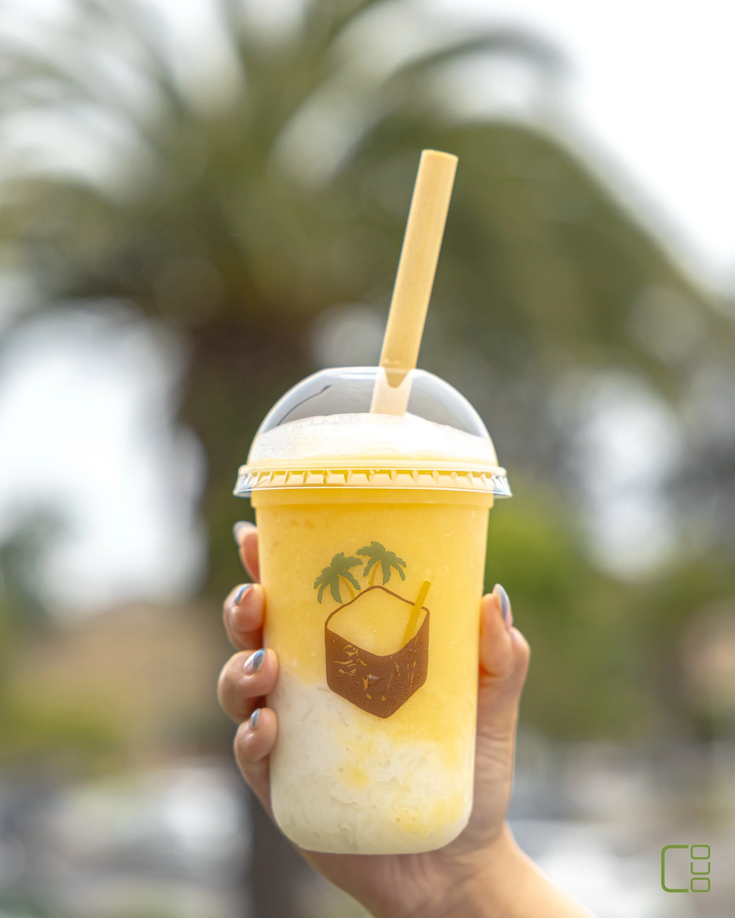 Our Summers are Foggy 
Our Rice is Sticky 
Our Mangos are Sweet 
Mango Sticky Rice at Cococubed