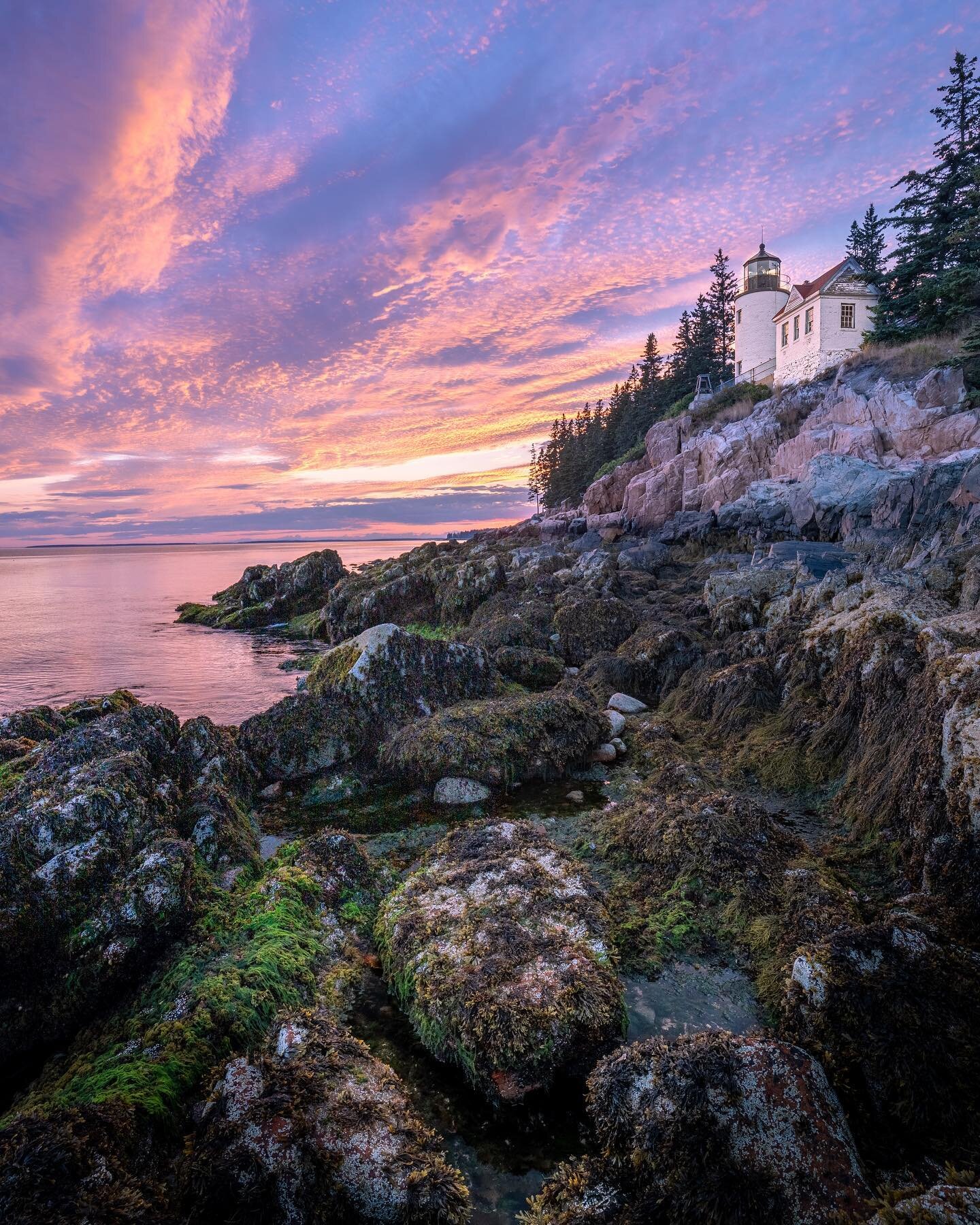 Bass Harbor Headlight at Sunset

Met some other photographers and soaked it all in during my first evening in Acadia! Wasn&rsquo;t even expecting to shoot but brought my camera along anyways and was greeted with this burner 🤝
