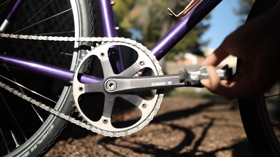 Best difference between single speed and fixed gear Sale