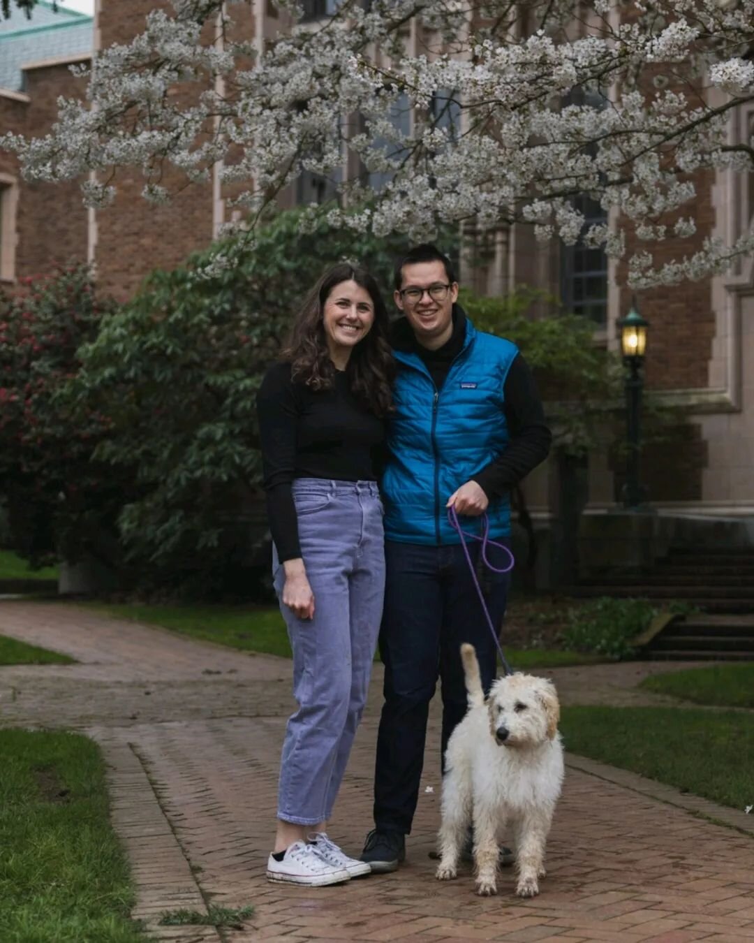 Finally got to meet Kiki and enjoy the cherry blossoms for the first time in ~4 years
🌸

📍Taken on the land of the Duwamish people
.
.
.
.
.
#cherryblossom #uw #washington #puppy spring #seattle #sprung #goldendoodle #doodle #pupdate #pnw #🌸 #🐕