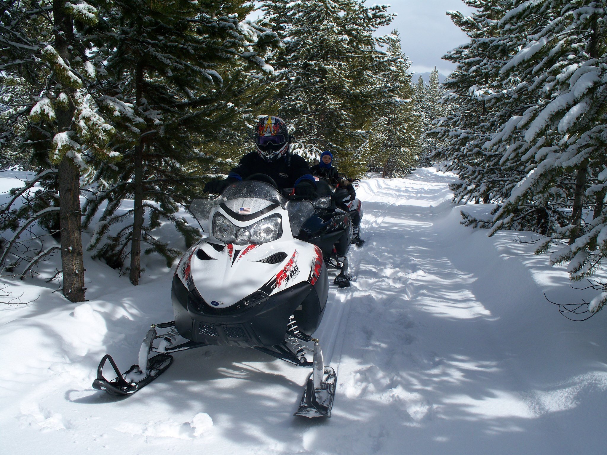 alpine adventures 3.jpg