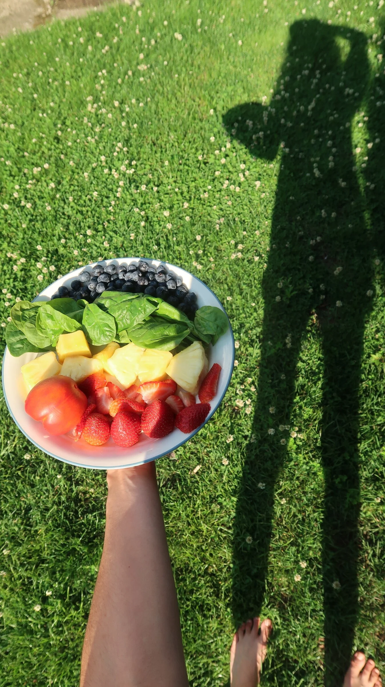 Stories of the Shadow