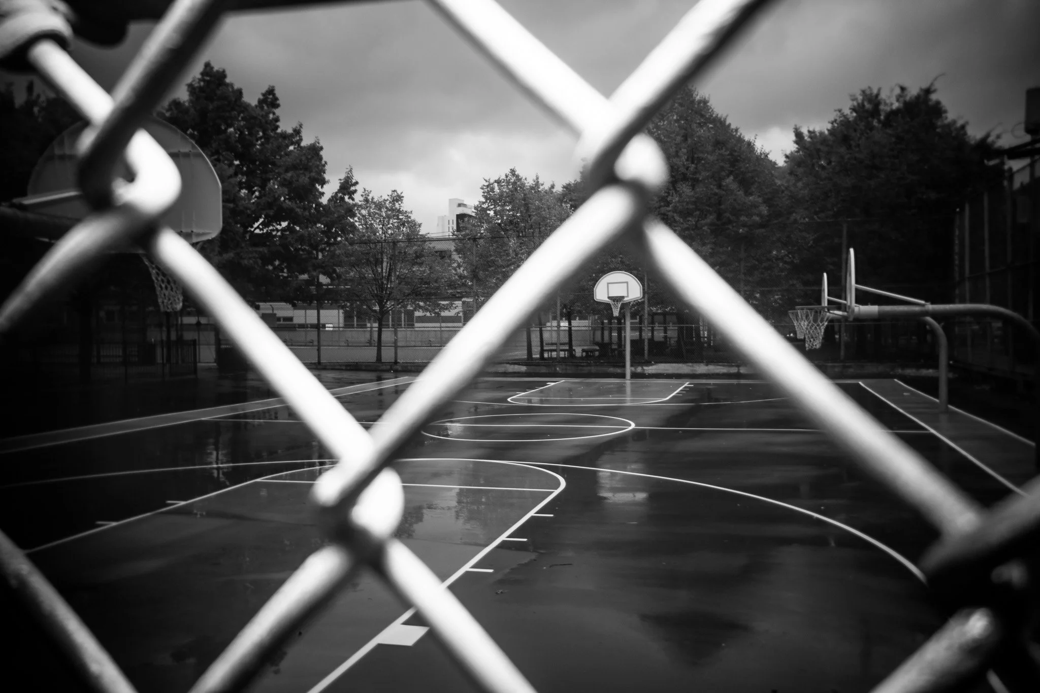 _MG_8528.jpg