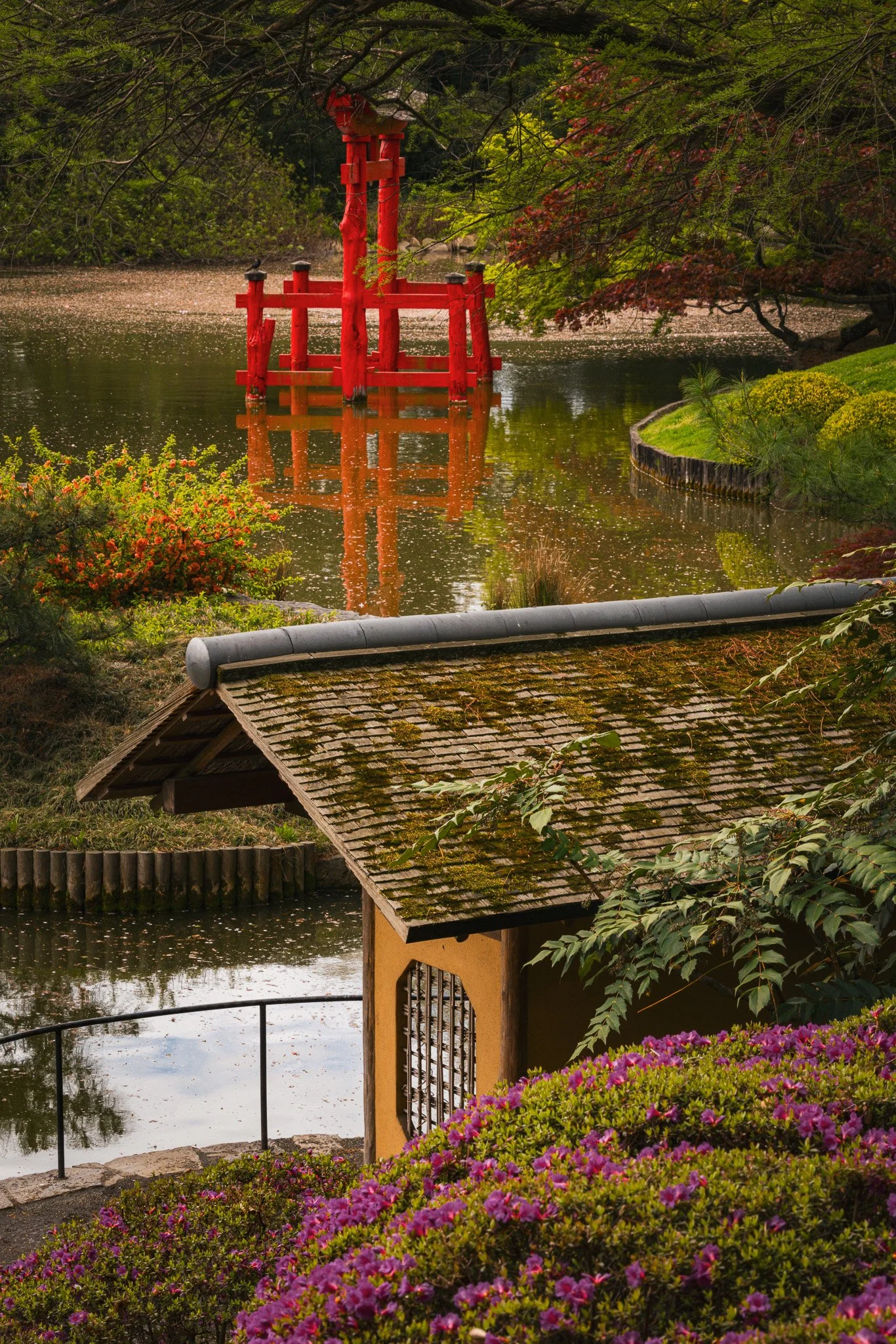 _MG_3656.jpg
