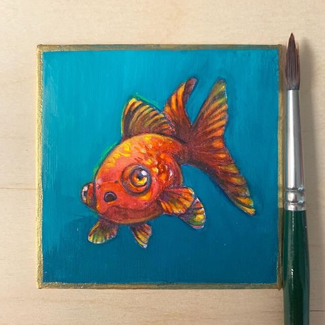 Little chubby telescope eye goldfish drawing. It&rsquo;s nice to take breaks from digital painting, and little drawings don&rsquo;t take forever to finish ^^. #telescopicgoldfish #derpderp #cutelittlefish #acrylagouache #phmartinradiant #goldfishart 