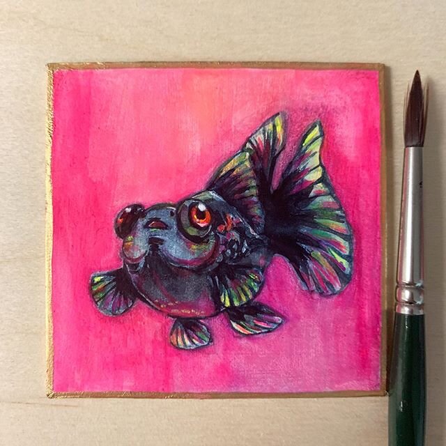 Another little goldfish painting. I thought it would be fun to study them, and also experiment with my art supplies. #telescopicgoldfish #blackmoregoldfish #goldfishpainting #goldfishdrawing #littlepainting #goldfishart #acrylagouache #phmartinradian