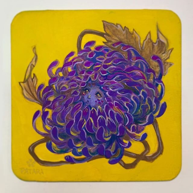 Purple chrysanthemum flower sprite. #salut5 #coasterartshow #nucleusportland #chrysanthemum #flowerillustration #flowerspirit #flowersprite