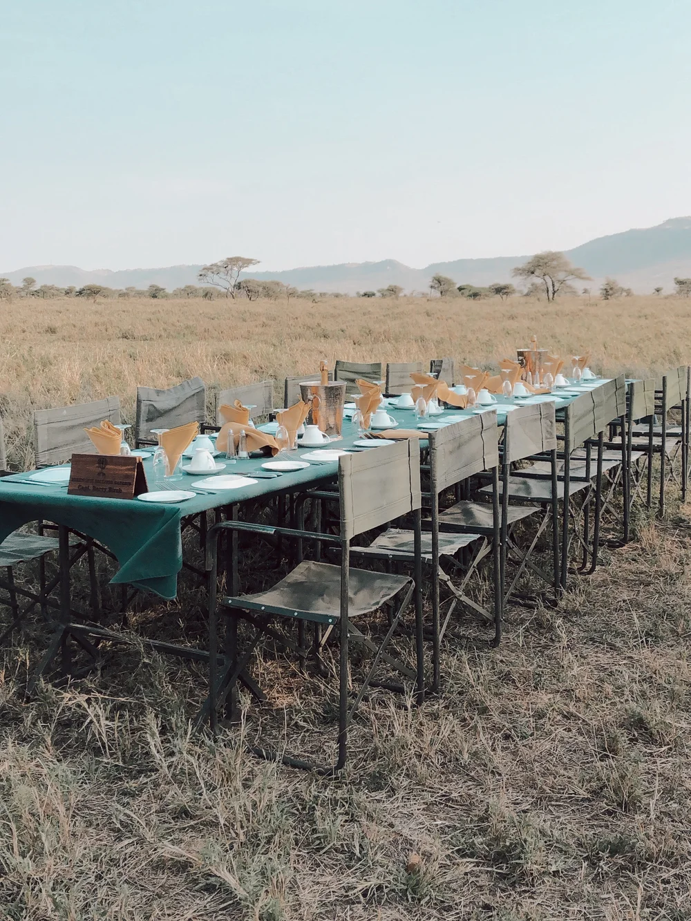 JPEG image-386D4A173FE0-1.jpeg