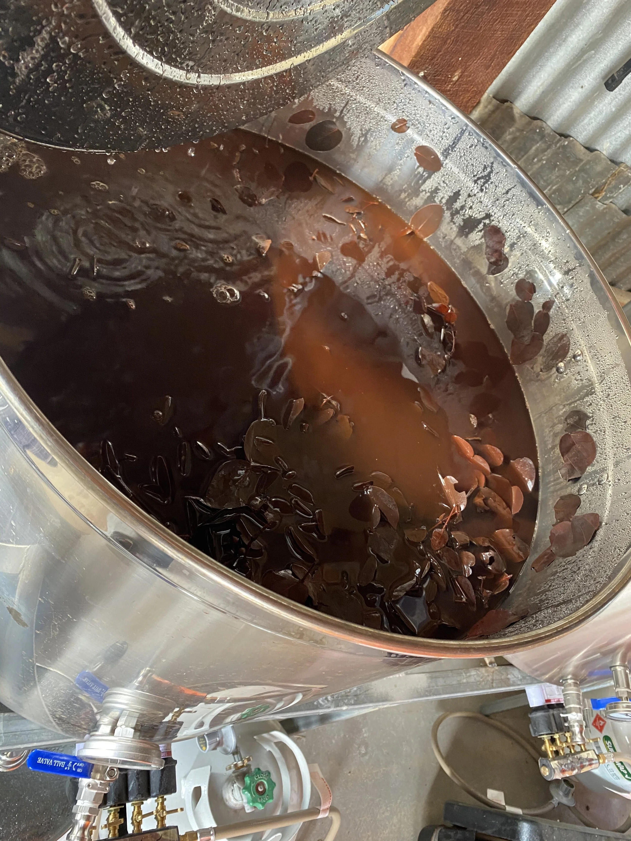 Heating Eucalyptus Cinema 