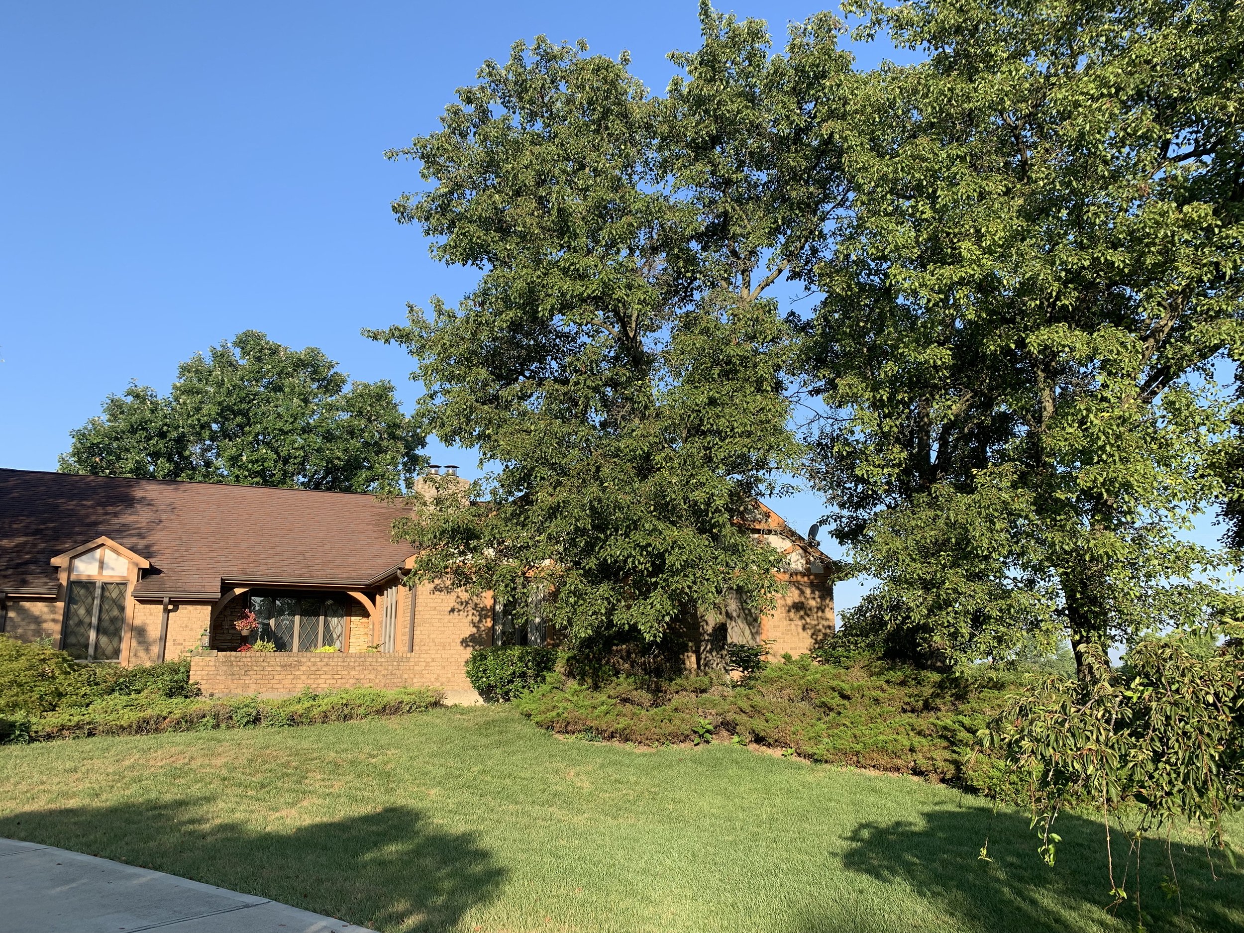 2021-08-24 08.24.52.jpg