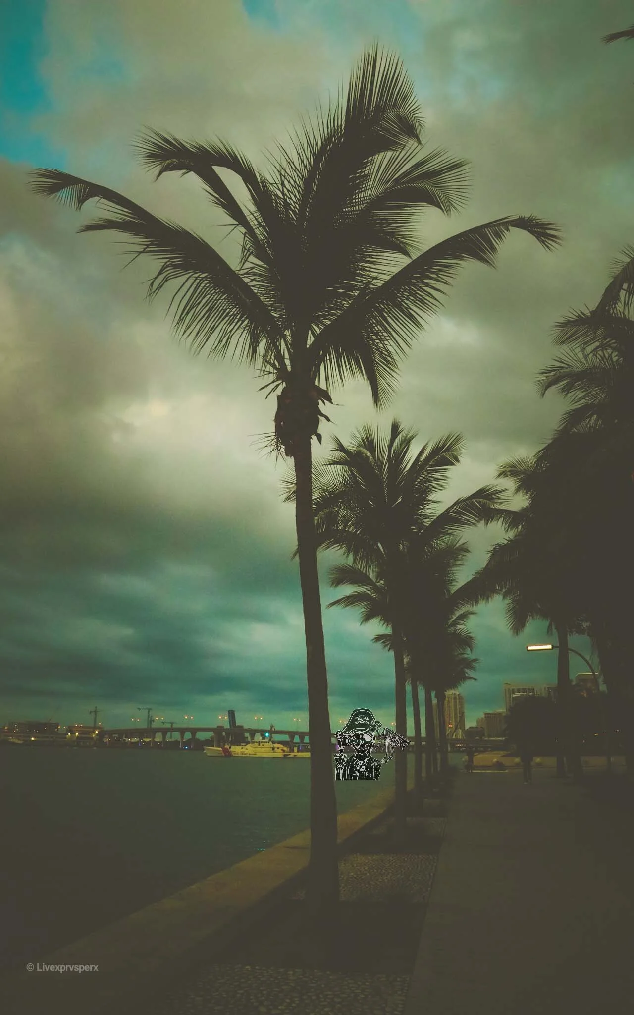 Sky with dark clouds, palm trees along a waterfront promenade, boats docked at a harbor, city buildings in the distance, and a streetlamp.