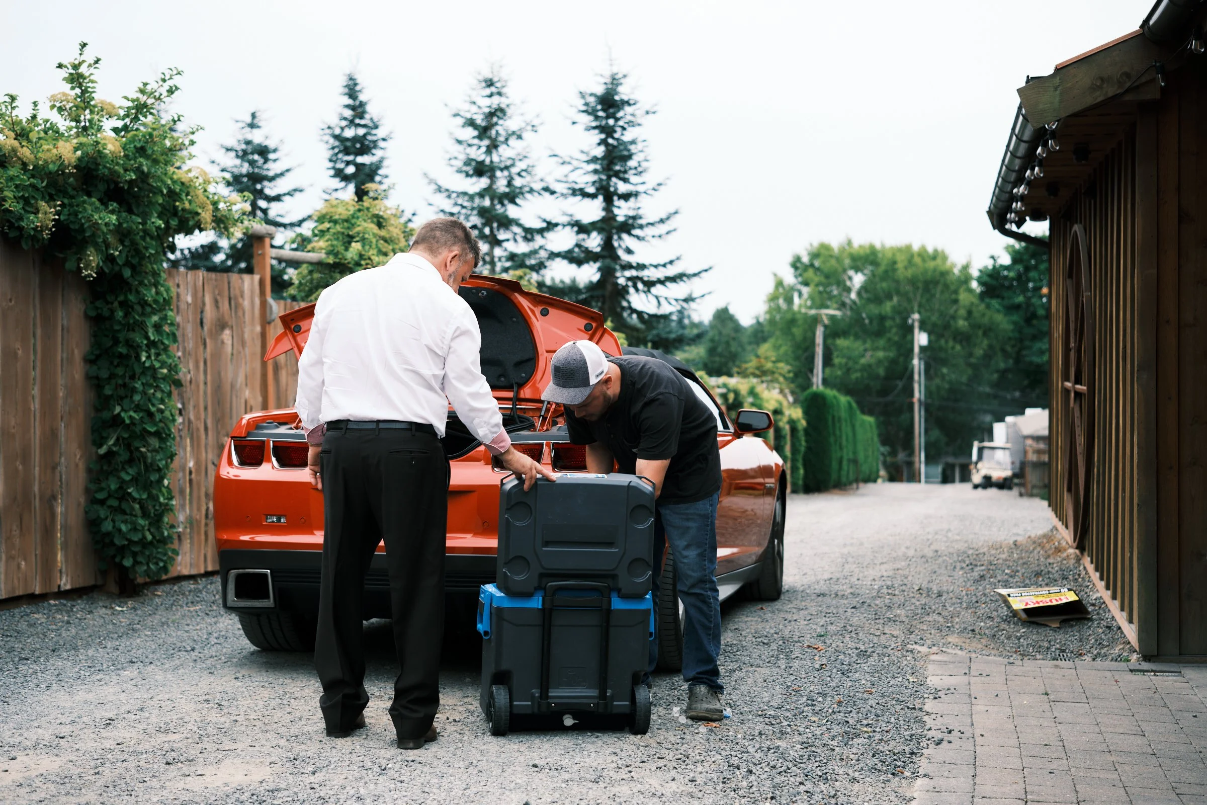 BTGP122FXT58994 1.jpg