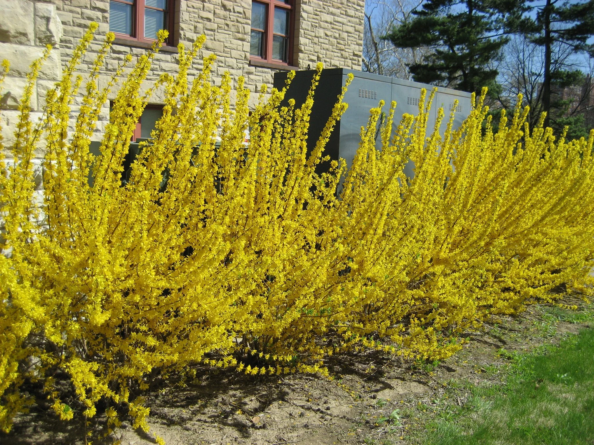 Top landscape design in Jackson Township, Ohio