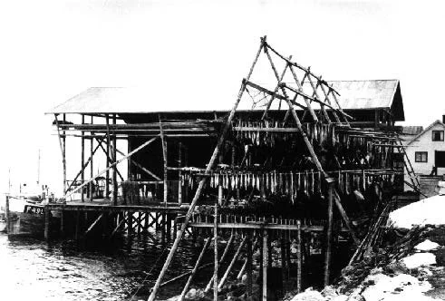 Bilder etc_Page_14_Image_0005.jpg